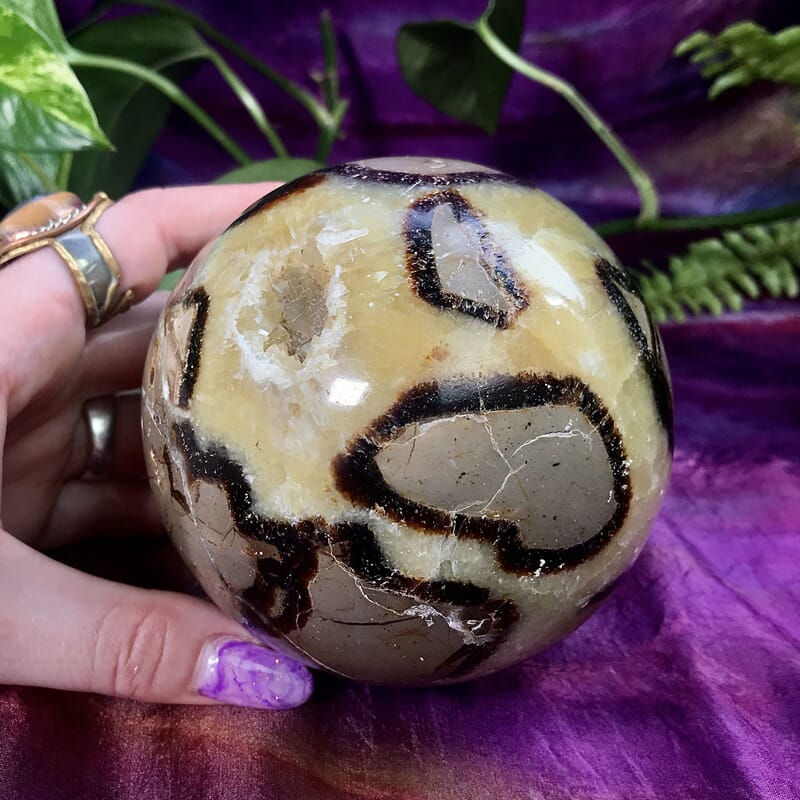 Septarian Sphere 2.5-3.5 Approx 2190ctw