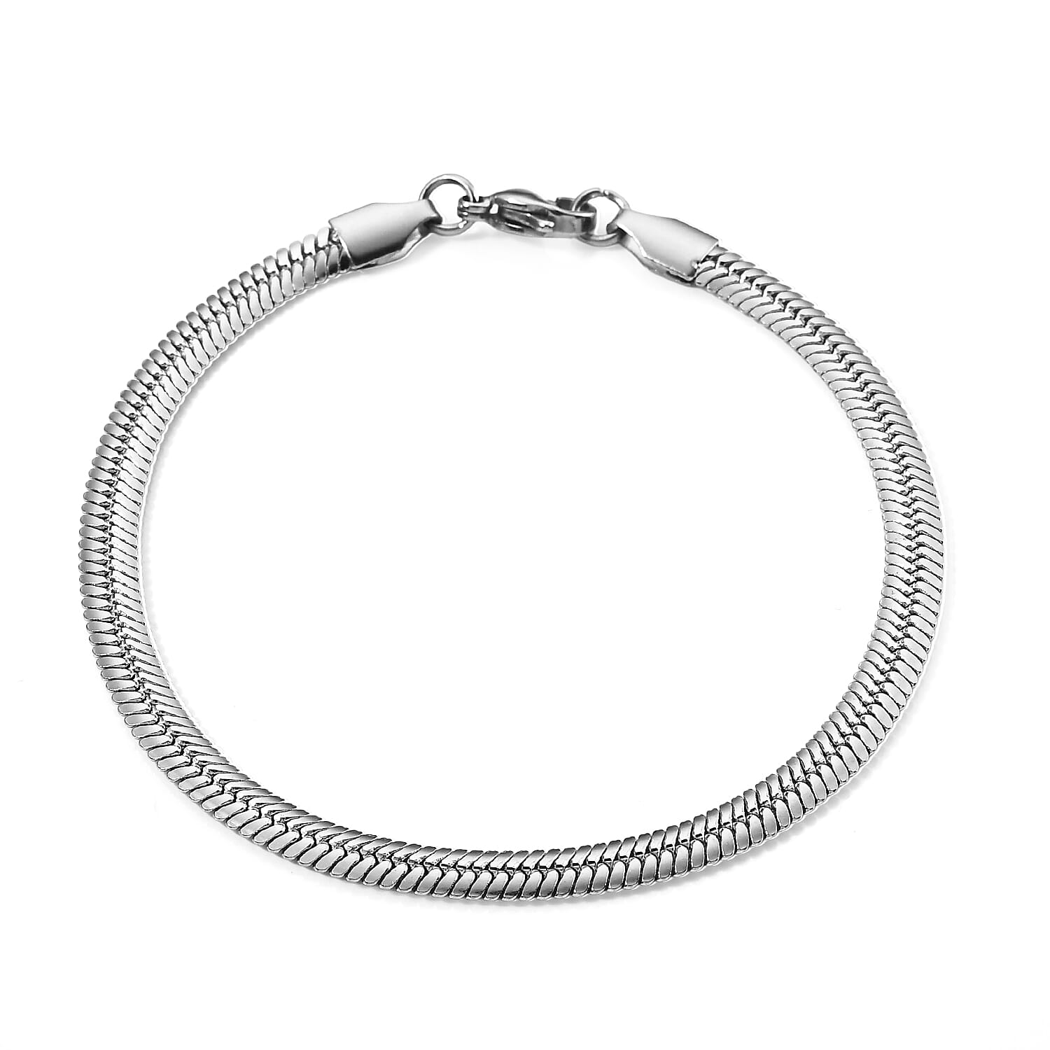 Snake Bracelet in Stainless Steel (8.00 In)