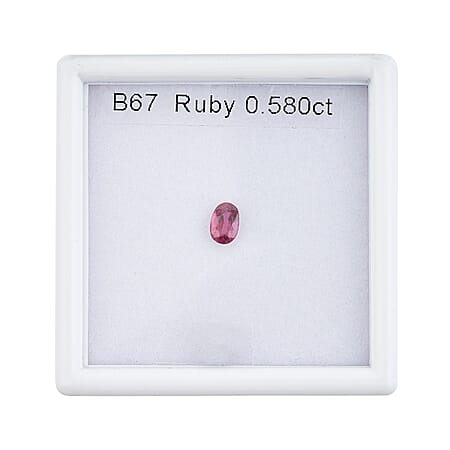 Default Title - Product card gallery slide 4 (10250602414393)