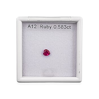 Default Title - Product card gallery slide 3 (10250602643769)