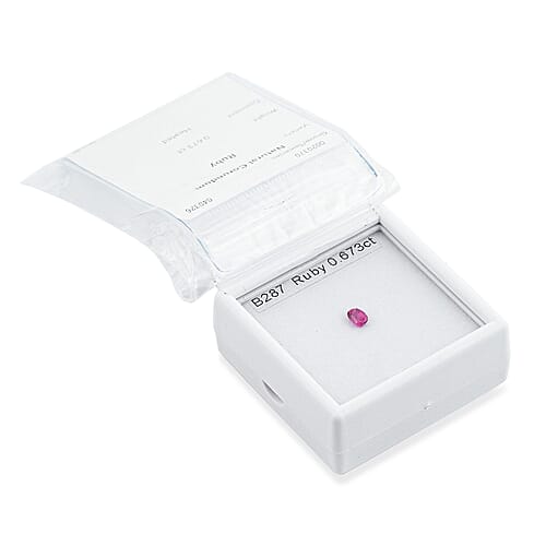 Default Title - Product card gallery slide 1 (10250603331897)