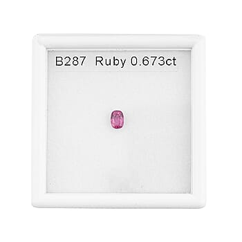 Default Title - Product card gallery slide 3 (10250603331897)