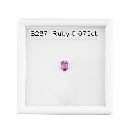 Default Title - Product card gallery slide 3 (10250603331897)