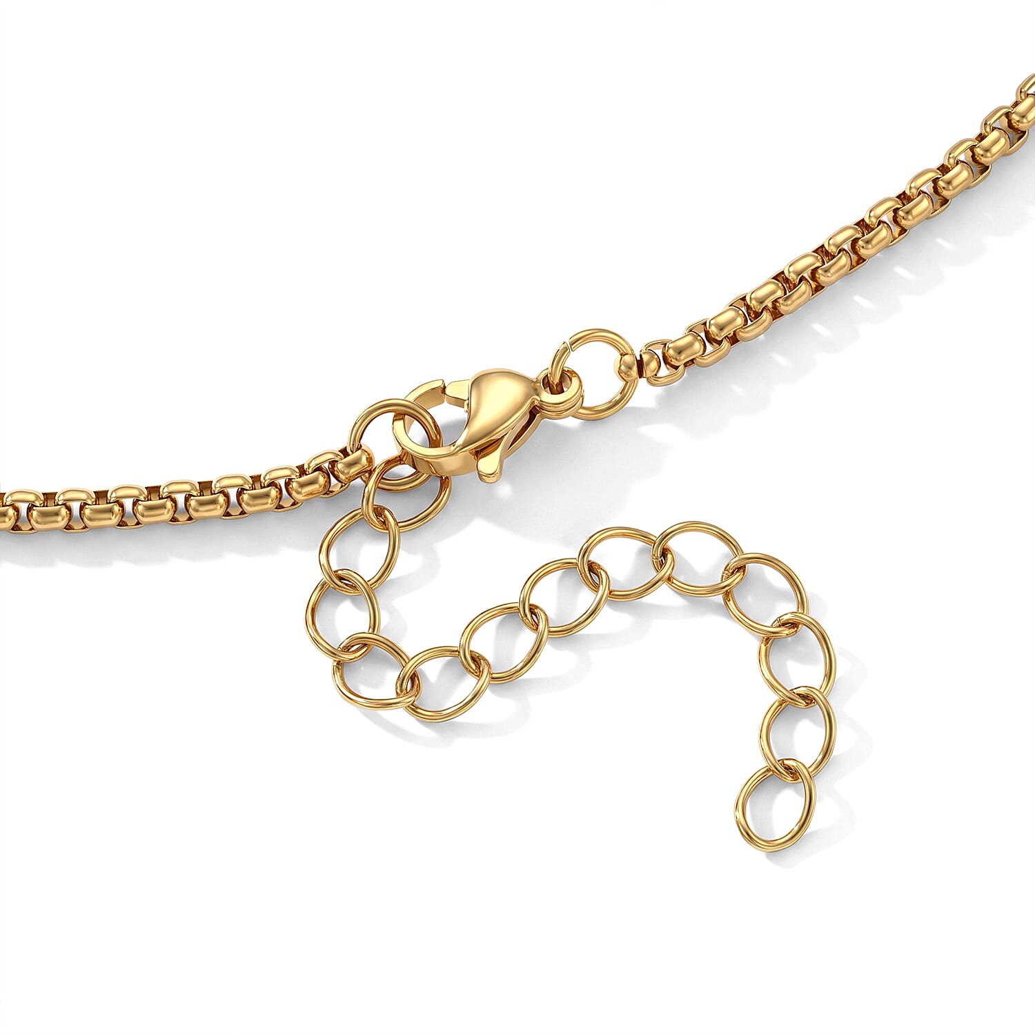 Heart Necklace (20-22 Inches) in ION Plated YG Stainless Steel