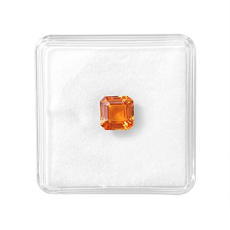 Default Title - Product card gallery slide 4 (10255598125369)