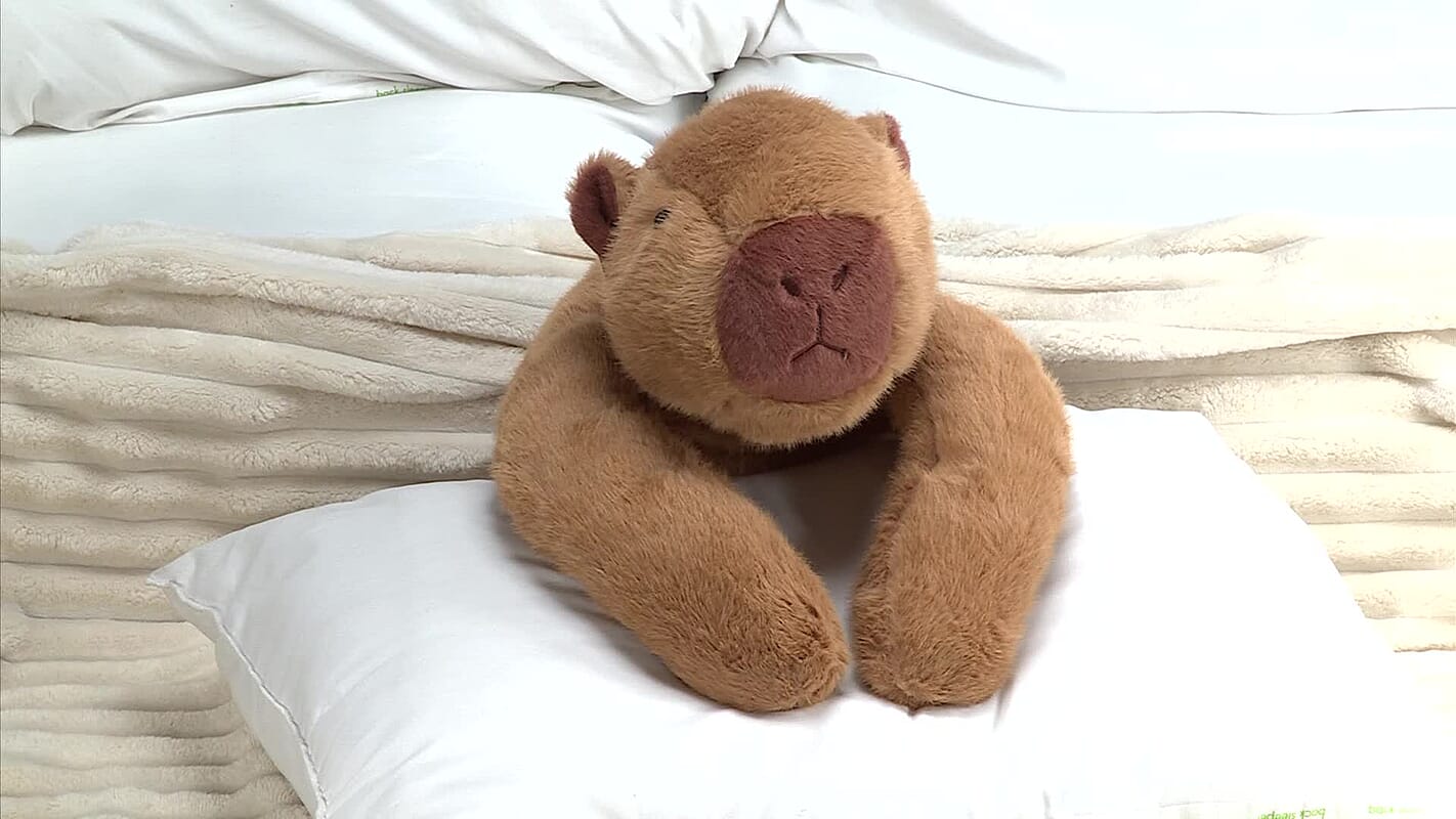 Calm-Panion Pets Weighted Bear Plush