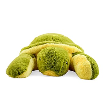 Turtle - Product card gallery slide 3 (10266726269241)