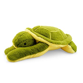 Turtle - Product card gallery slide 4 (10266726269241)