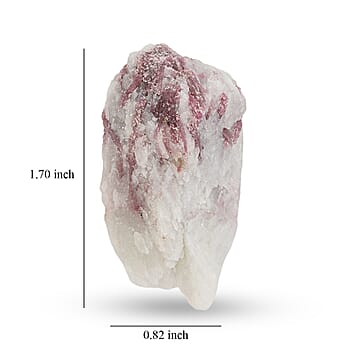 Pink - Product card gallery slide 4 (10288615260473)