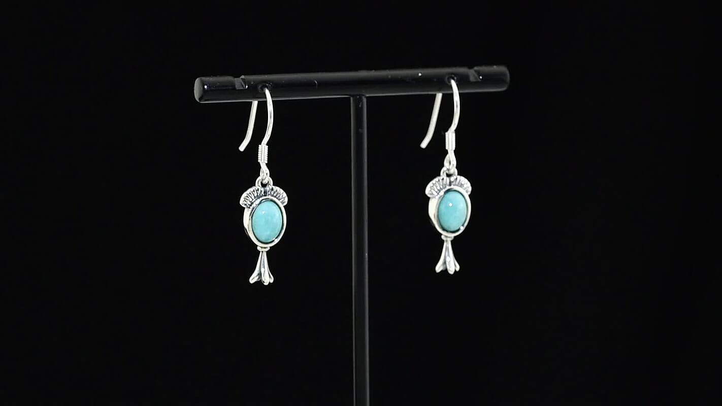 D''Joy Artisan Crafted Premium Tahoe Nevada Turquoise 2.80 ctw Earrings in Sterling Silver