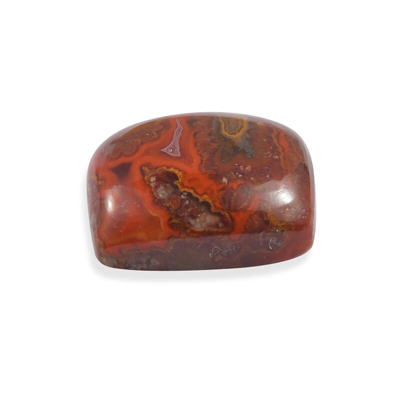 Slice Agate (Cush 12x10 mm) 4.28 ctw