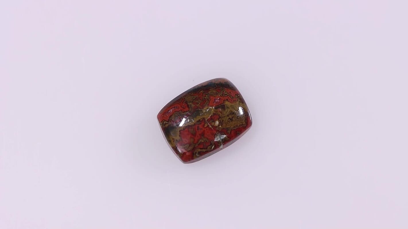 Slice Agate (Cush 9x7 mm) 1.64 ctw