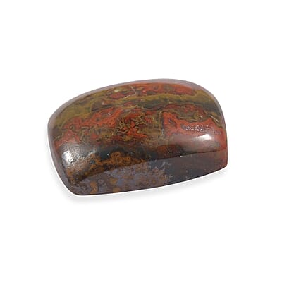 Slice Agate (Cush 9x7 mm) 1.64 ctw