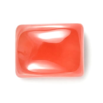 Default Title - Product card gallery slide 1 (10295257301305)
