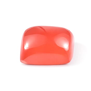 Default Title - Product card gallery slide 2 (10295257301305)