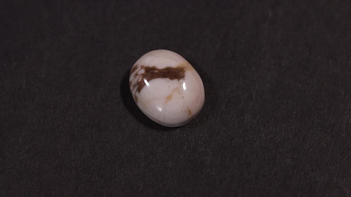 Peanut Wood Jasper (Ovl 12x10 mm) 3.09 ctw