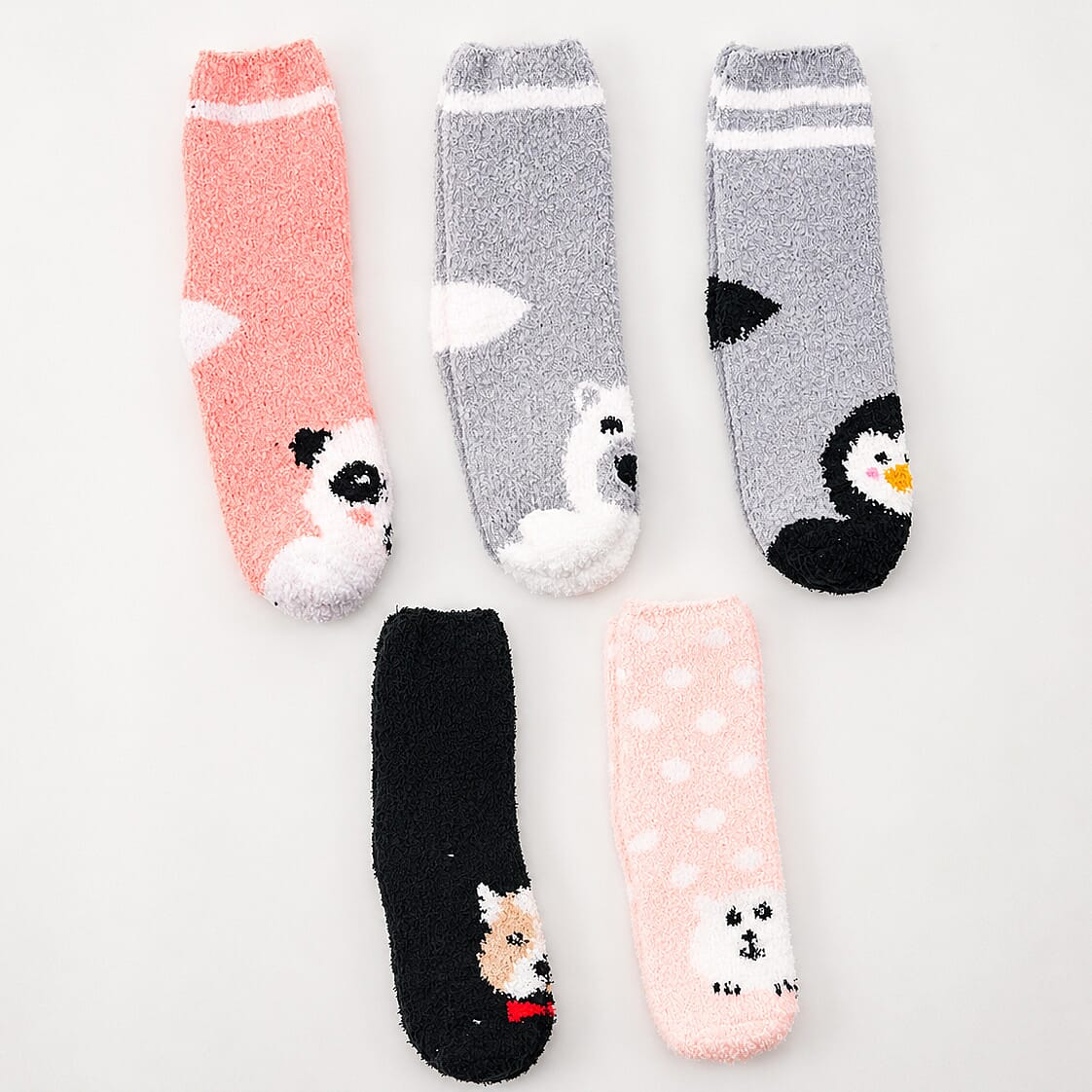 Tehee Multi Color Socks Set of 5 Size 9-10