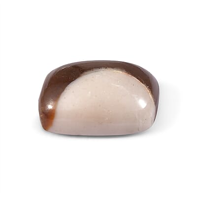 Peanut Wood Jasper Set of 2 (Cush 9x7 mm) 3.43 ctw
