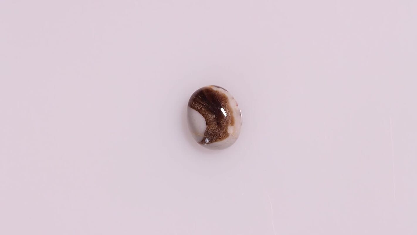 Peanut Wood Jasper (Ovl 11x9 mm) 2.44 ctw