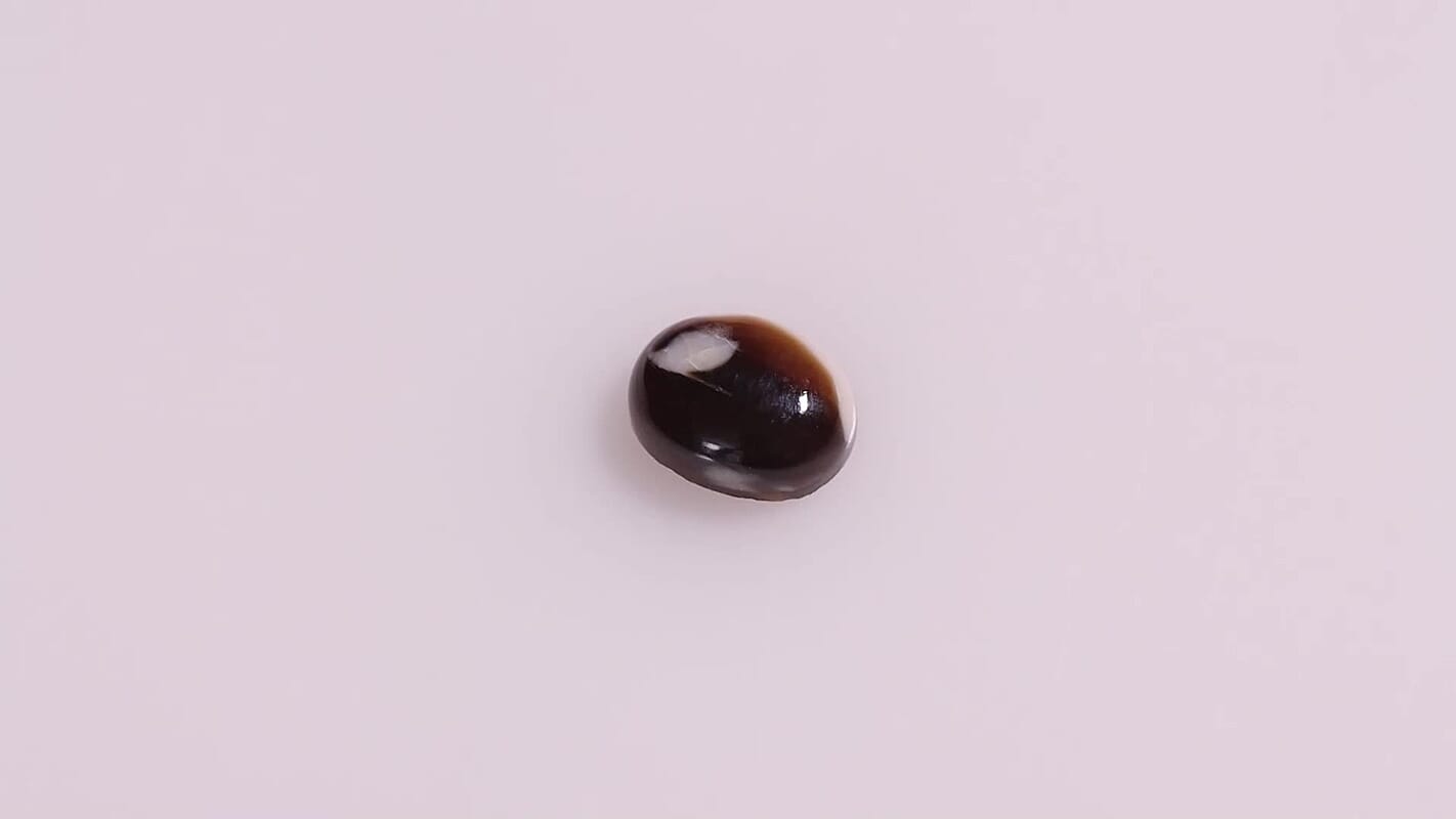 Peanut Wood Jasper (Ovl 9x7 mm) 1.13 ctw