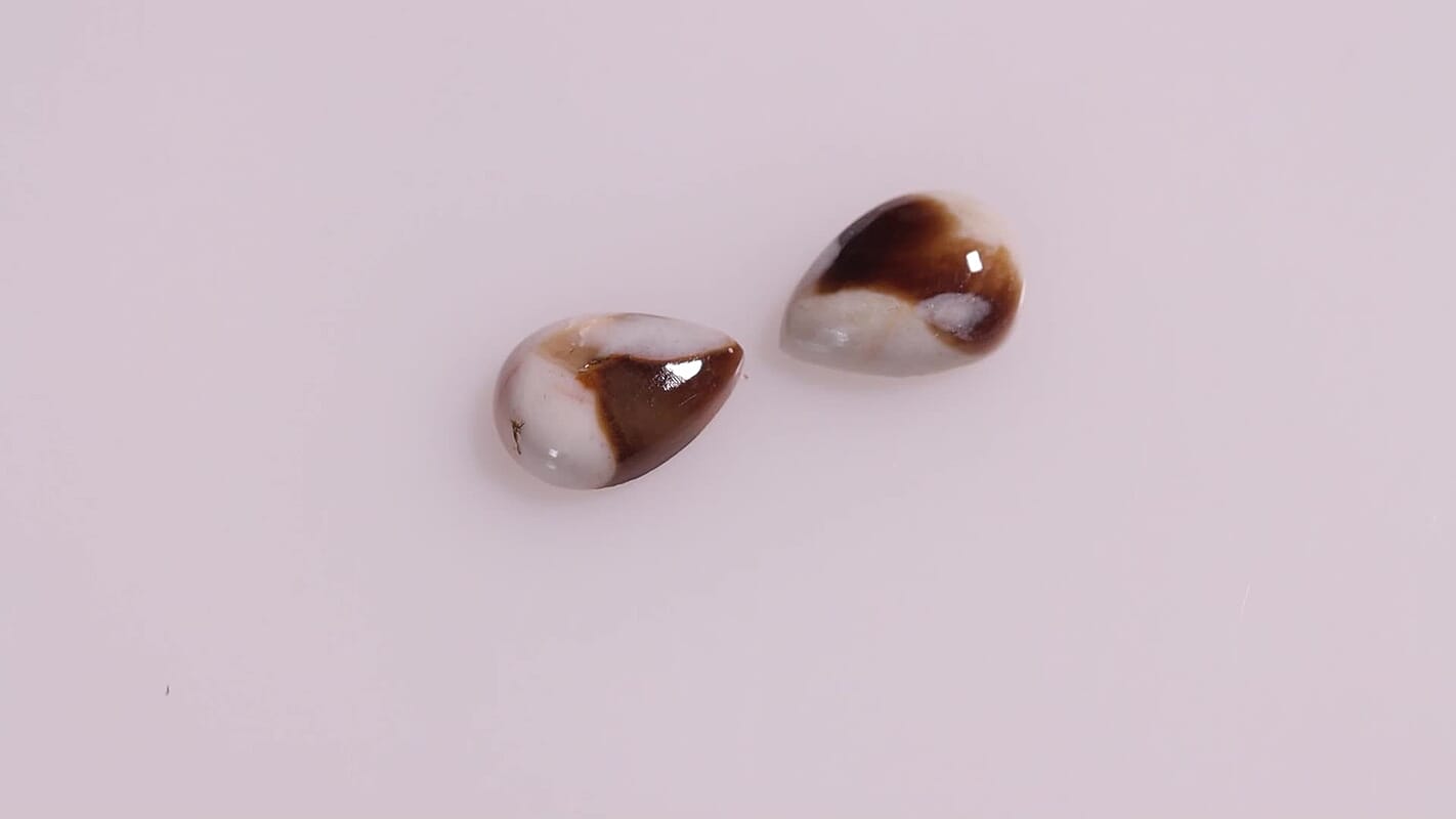 Peanut Wood Jasper Set of 2 (Pear 10x7 mm) 2.79 ctw