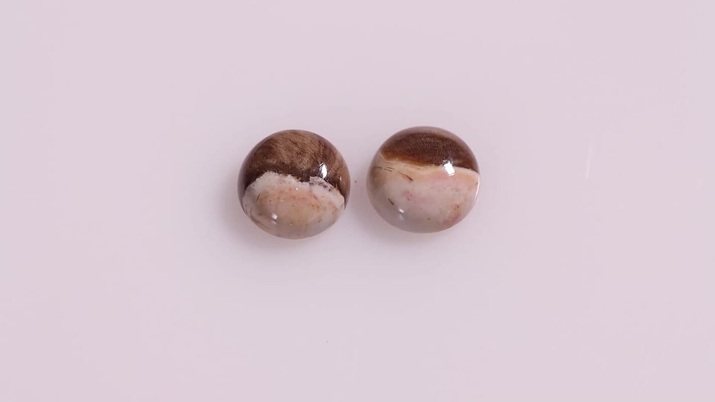 Peanut Wood Jasper (Rnd 9 mm) 3.90 ctw