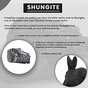 Rabbit Shungite Figurine, Home Decor Figurine, Decorative Figurine, Living Room Decor