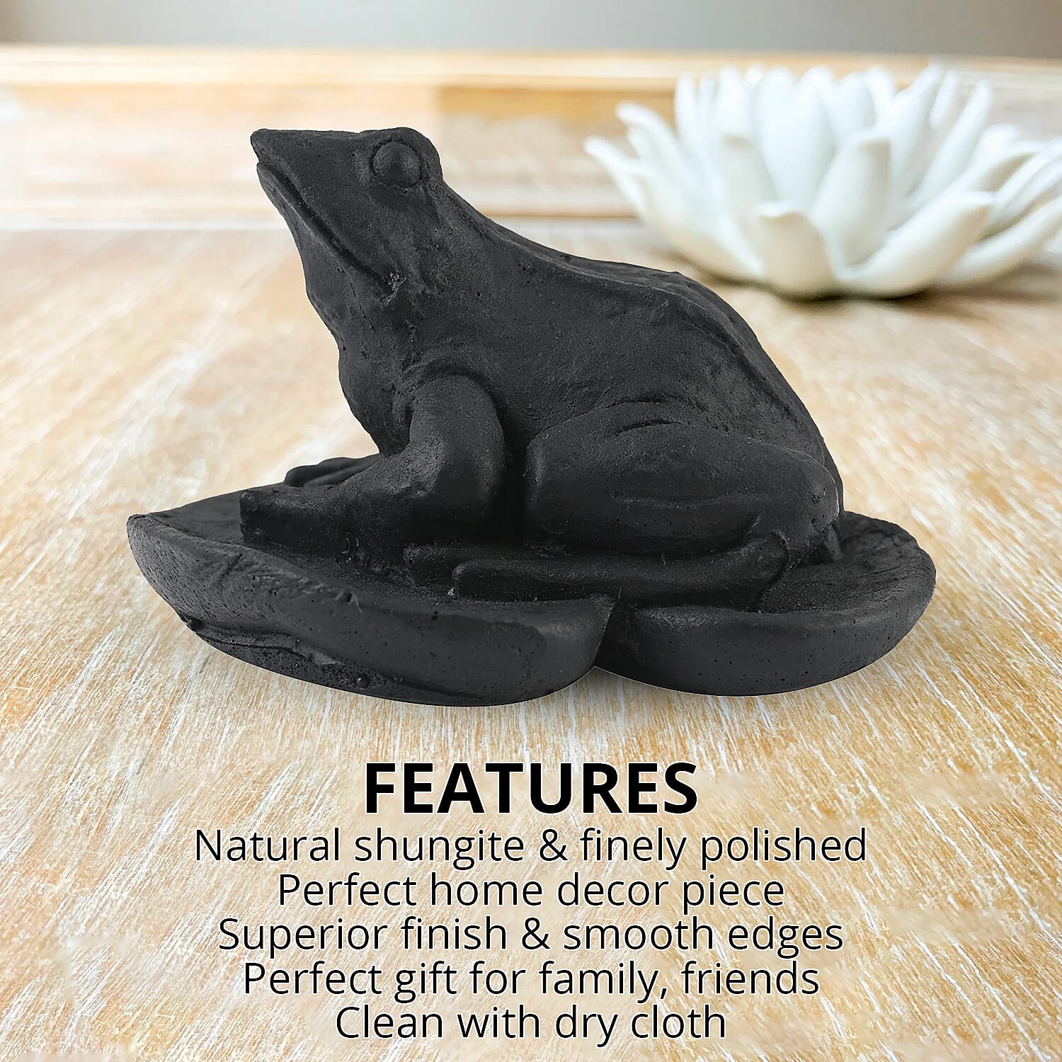 Frog on a Leaf Shungite Figurine 335.00ctw, Home Decor Figurine, Decorative Figurine, Living Room Decor