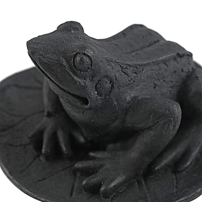 Frog on a Leaf Shungite Figurine 335.00ctw, Home Decor Figurine, Decorative Figurine, Living Room Decor