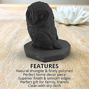 Owl Shungite Figurine, Home Decor Figurine, Decorative Figurine, Living Room Decor