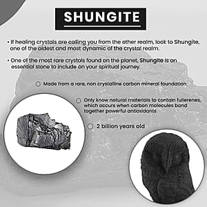 Owl Shungite Figurine, Home Decor Figurine, Decorative Figurine, Living Room Decor