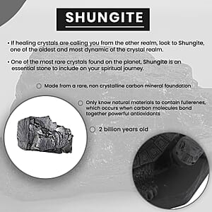 Turtle Shungite Figurine, Home Decor Figurine, Decorative Figurine, Living Room Decor