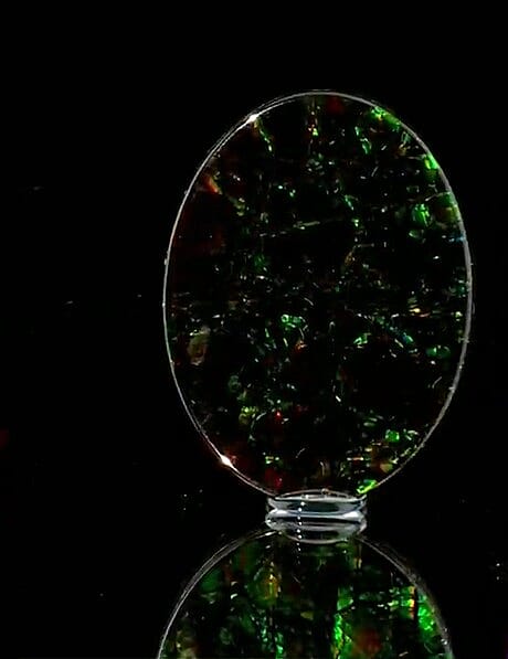 Certified and Appraised AAAA Natural Ammolite (Ovl Free Size) 18.75 ctw