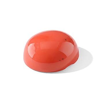 Default Title - Product card gallery slide 2 (10300406104377)