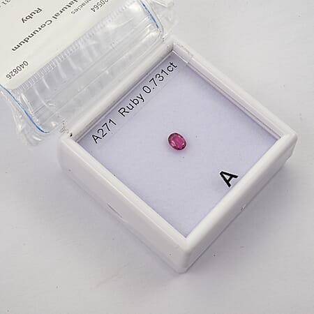 Default Title - Product card gallery slide 1 (10291504382265)