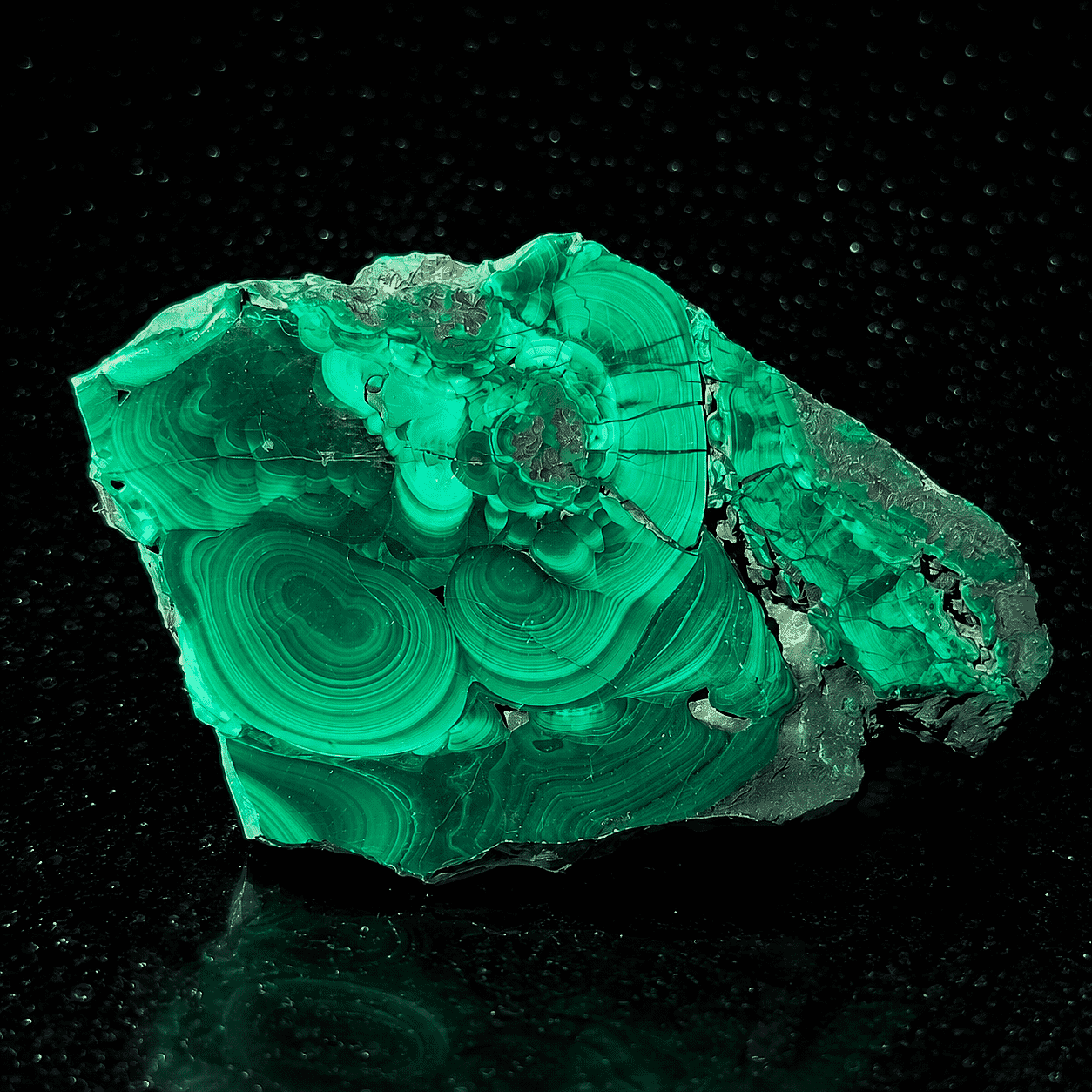 Polished Malachite Stalakite Slice 1-2 120 ctw