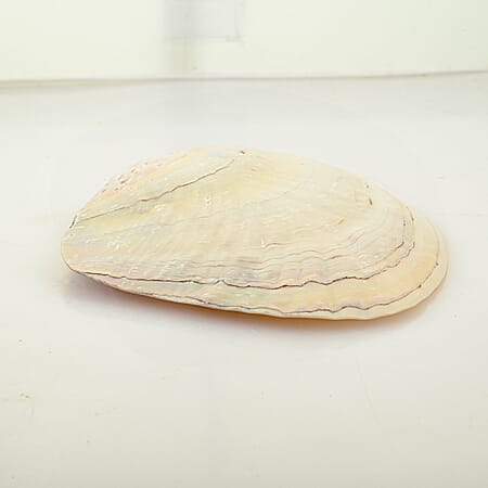 Multi Color - Product card gallery slide 4 (10301134963001)