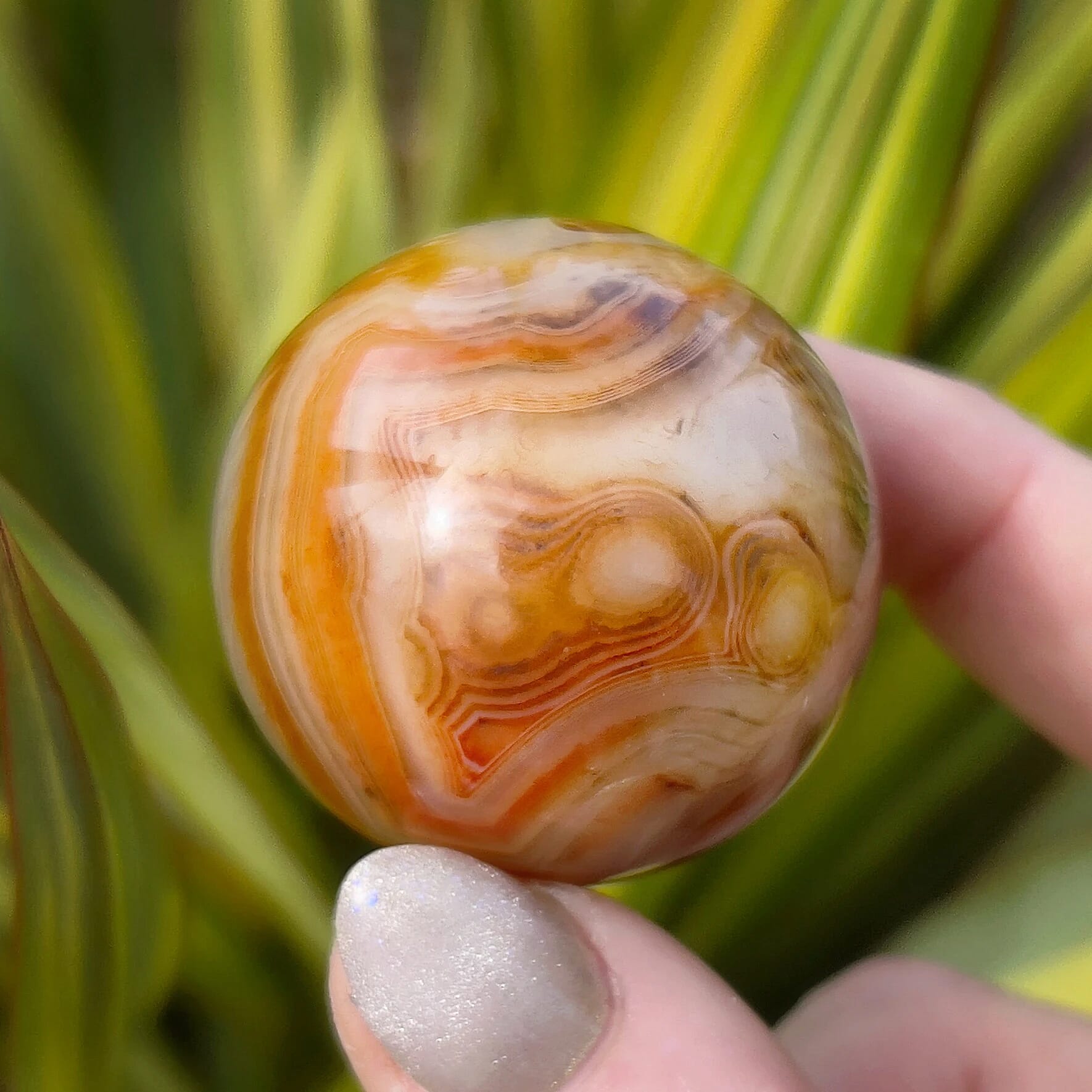 Sardonyx Sphere 1.5-2 840 ctw