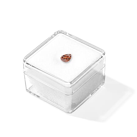 Default Title - Product card gallery slide 4 (10299104428345)