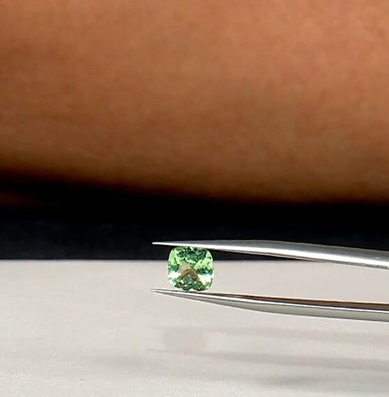 AAAA Mint Tsavorite Garnet (Cush Free Size) 1.00 ctw
