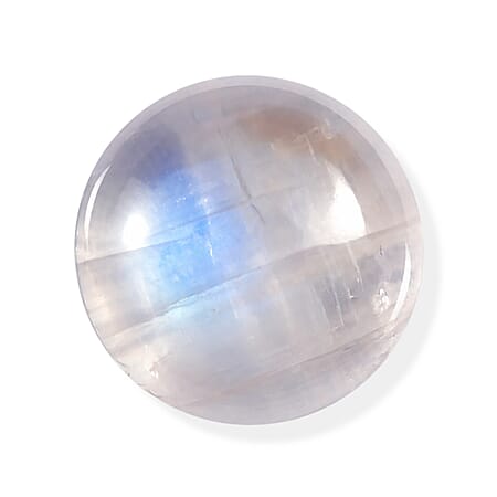 Default Title - Product card gallery slide 1 (10331665400121)