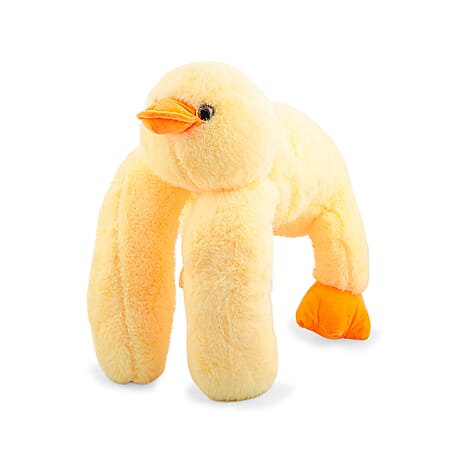 Duck - Product card gallery slide 1 (10303981977913)