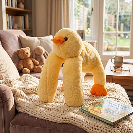 Duck - Product card gallery slide 2 (10303981977913)