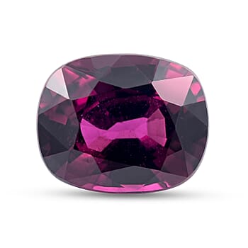 Default Title - Product card gallery slide 1 (10303117427001)