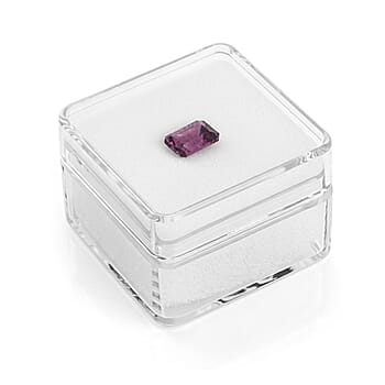 Default Title - Product card gallery slide 4 (10303117459769)