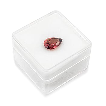 Default Title - Product card gallery slide 4 (10303117787449)