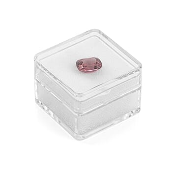 Default Title - Product card gallery slide 4 (10303117820217)