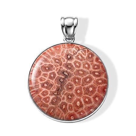 Petoskey Stone - Product card gallery slide 1 (10312839528761)