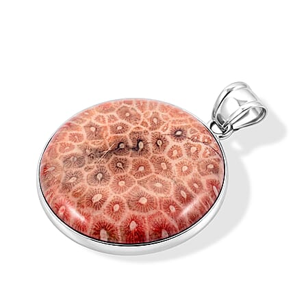 Petoskey Stone - Product card gallery slide 4 (10312839528761)