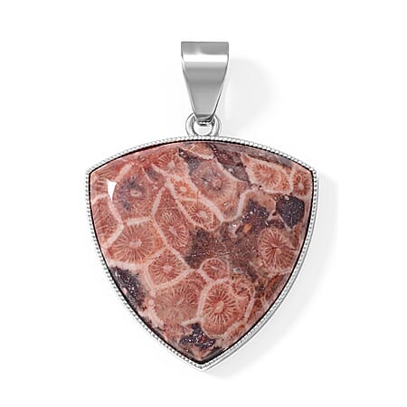 Petoskey Stone - Product card gallery slide 1 (10343328284985)